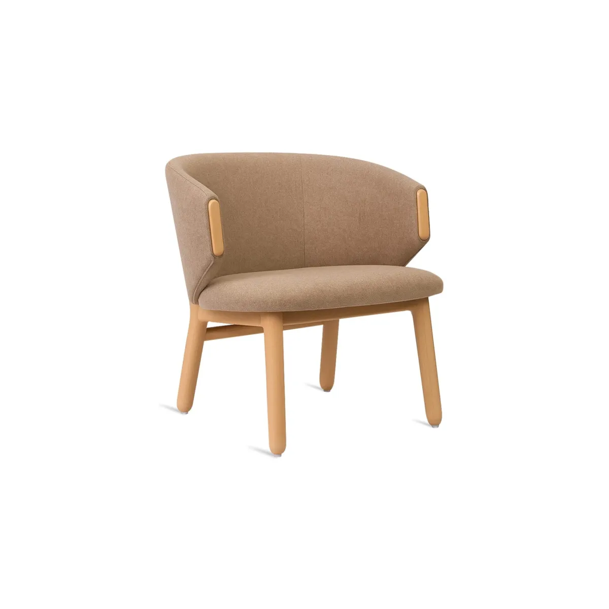 Aster Lounge Chair