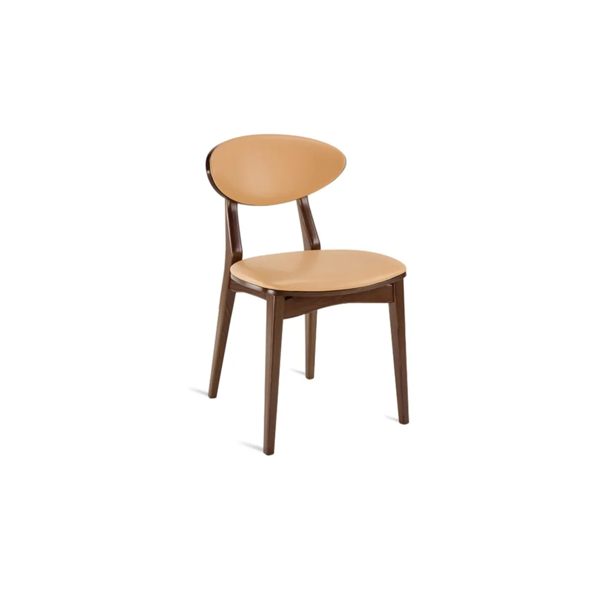 Danielle Side Chair (UPHOLSTERED FRONT / Wood Back)